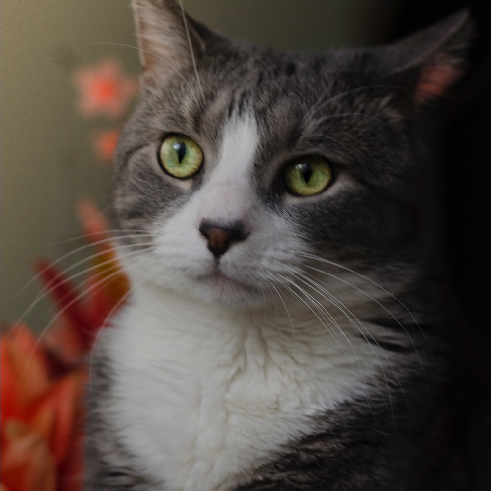 🛍❤️BUY FOR CECE❤️🛍